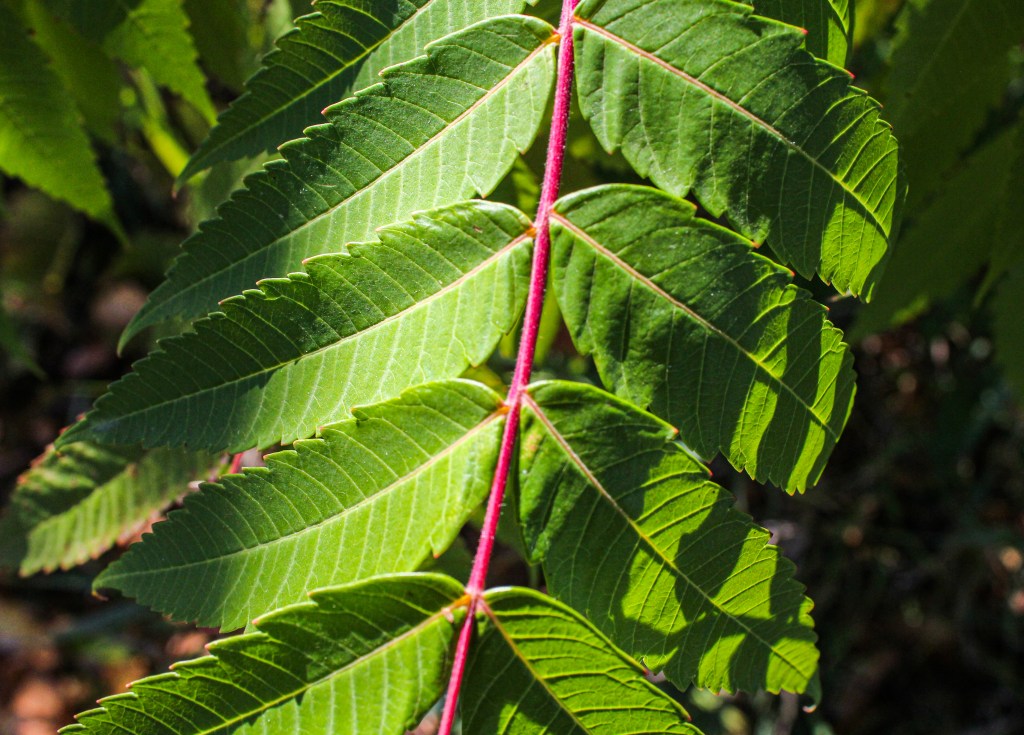 The 5 stages of&nbsp;Grief