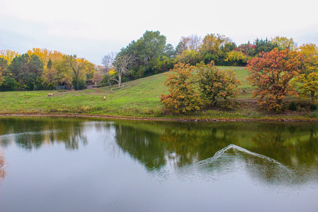 To the Present and the&nbsp;Future